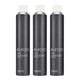 Eufora Elevate Firm Workable Finishing Spray 10 Oz (Pack of 3)